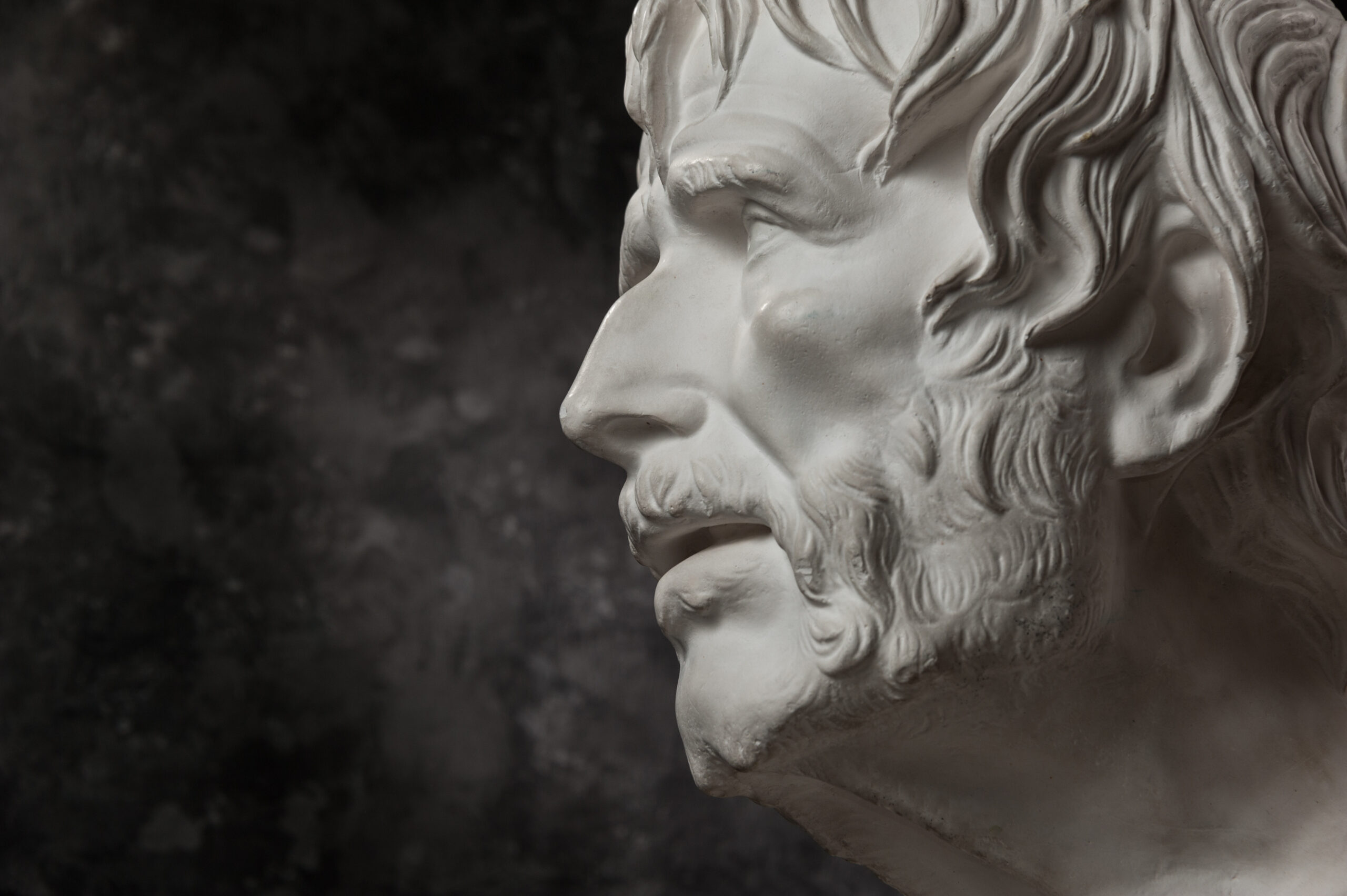 A marble bust of an ancient philosopher—symbolizing the timeless wisdom and enduring relevance of Stoic thought today.